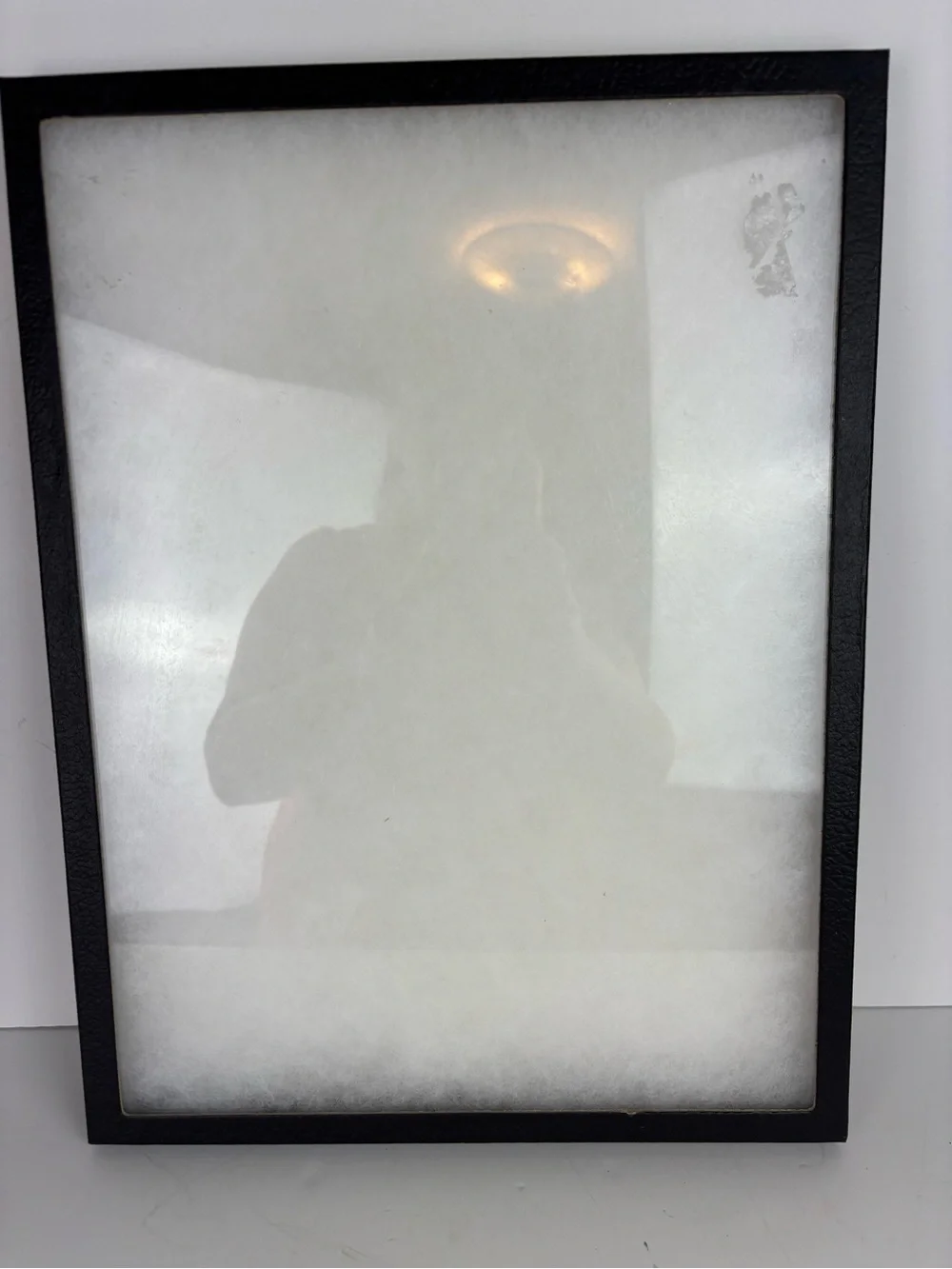 Riker Mount Display Case/Shadow Box/Frame Tray